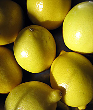 citroner lime citrusolier