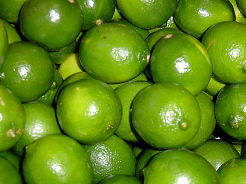 Citrusolier Lime